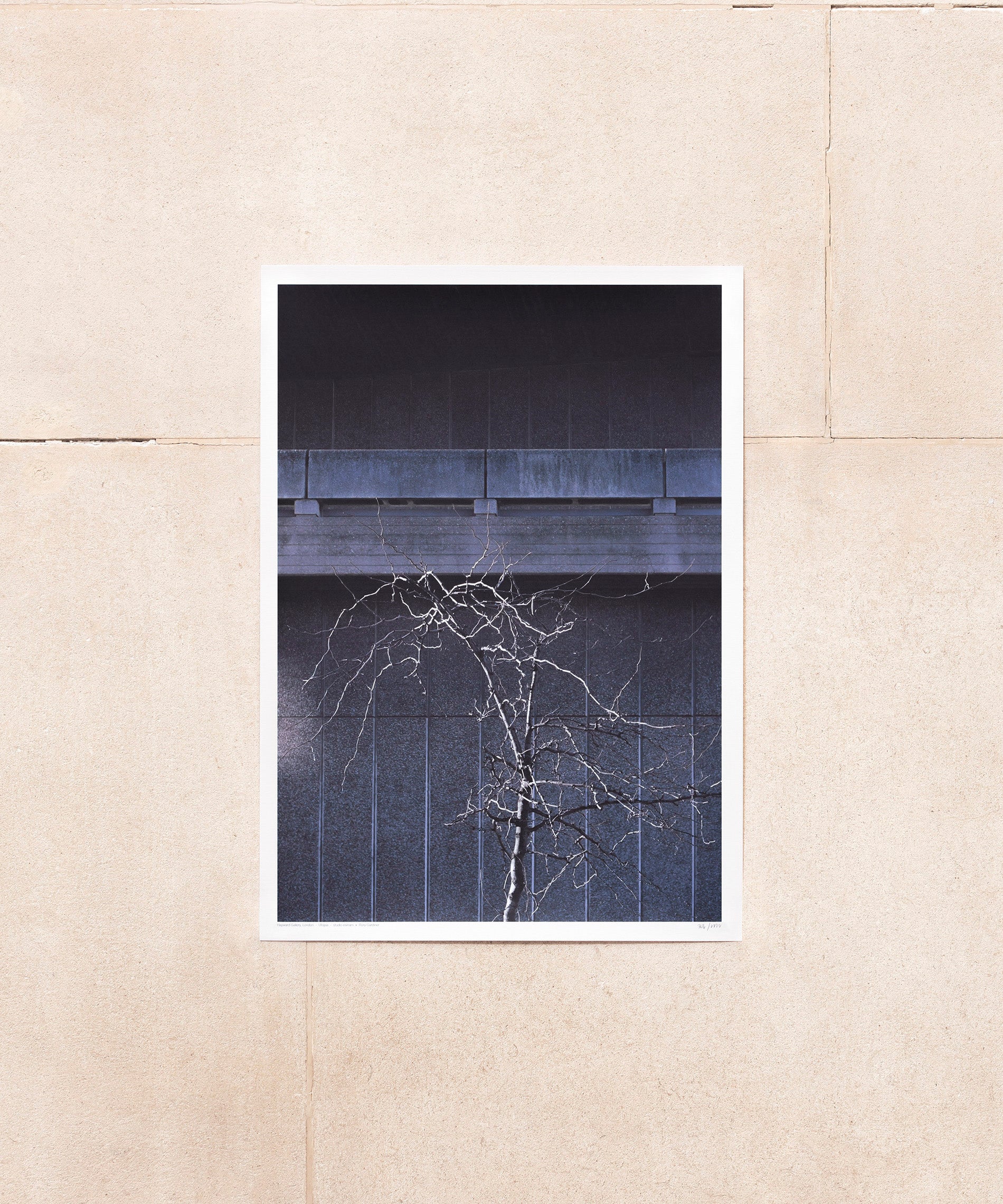 Hayward Gallery